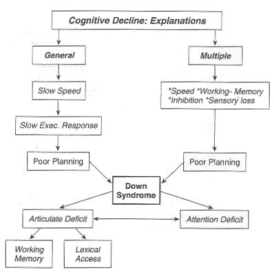 Explanations of cognitive decline